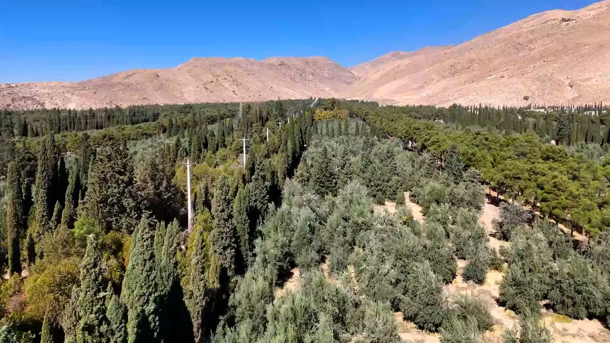 اکوپارک ۲۳۰ هکتاری و بام سبز ۴۰۴۴ هکتاری شیراز در راه است