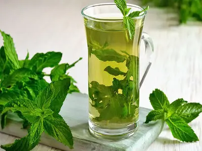 مبتلایان به رفلاکس عرق نعناع و نعناع نخورند