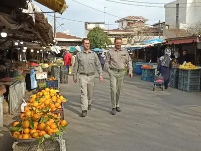 شکار و زنده‌فروشی پرندگان مهاجر و حفاظت‌شده ممنوع/ باز‌ار‌های محلی پایش‌می‌شود