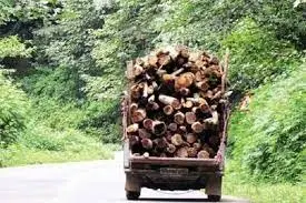 سه تن چوب قاچاق جنگلی در آوج کشف شد