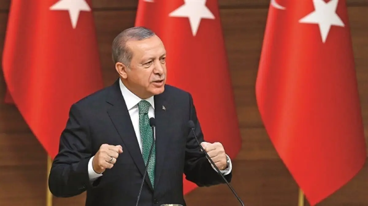 اردوغان بار دیگر خواستار اصلاح شورای امنیت شد