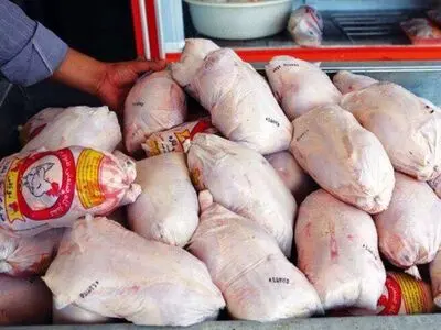 توزیع گوشت مرغ منجمد طرح تنظیم بازار در سیستان و بلوچستان