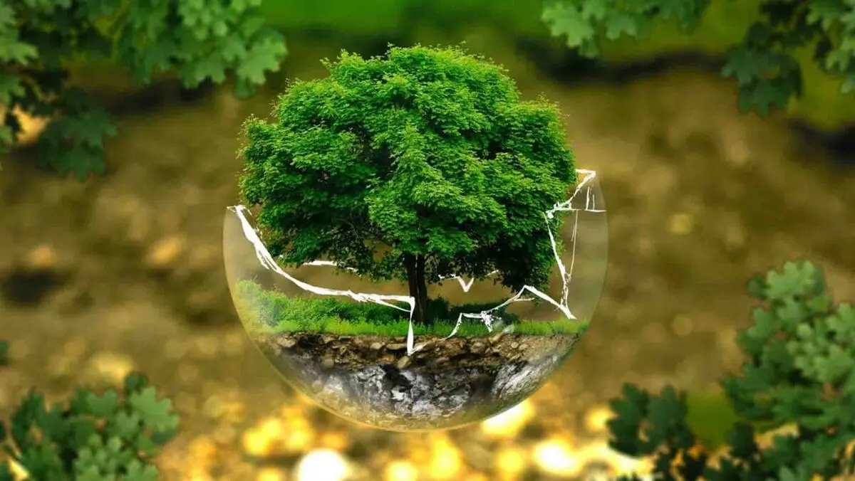 کاهش سخت‌گیری‌های محیط‌زیستی!