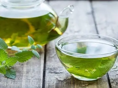 پونه کوهی یک آنتی بیوتیک قوی