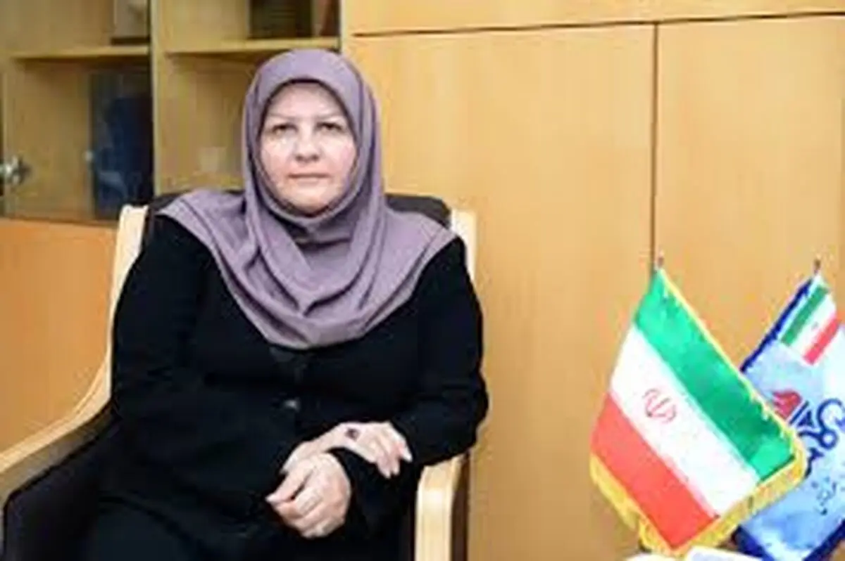 

ظرفیت اسمی تولید محصولات پتروشیمی به ٧٢ میلیون تن می‌رسد
