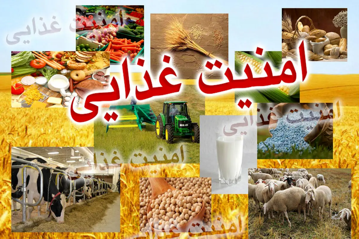 کاهش ۳ میلیون تنی واردات کالاهای اساسی به کشور با رشد تولید محصولات کشاورزی