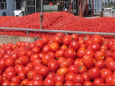 توقیف ۲۲ تن گوجهفرنگی قاچاق در گمرک پرویزخان