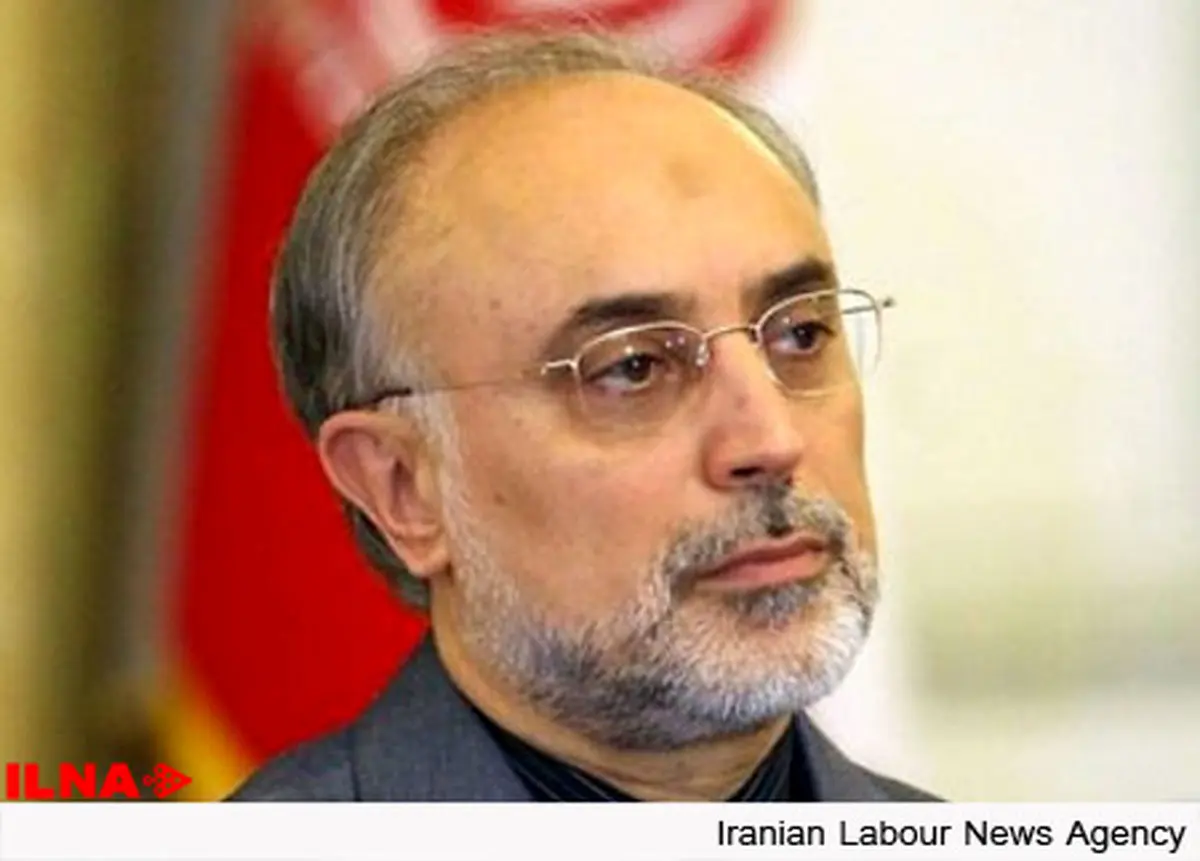 صالحی: استفاده از نیروگاه‌های هسته‌ای در حاشیه خلیج فارس از برنامه‌های راهبردی است