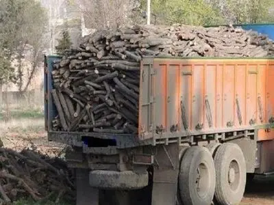 توقیف محموله چوب‌های قاچاق در رشت
