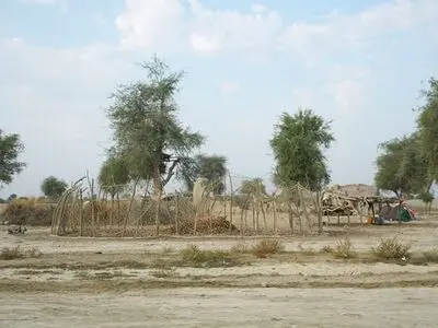  قاچاق خاک در سیستان و بلوچستان صحت ندارد 