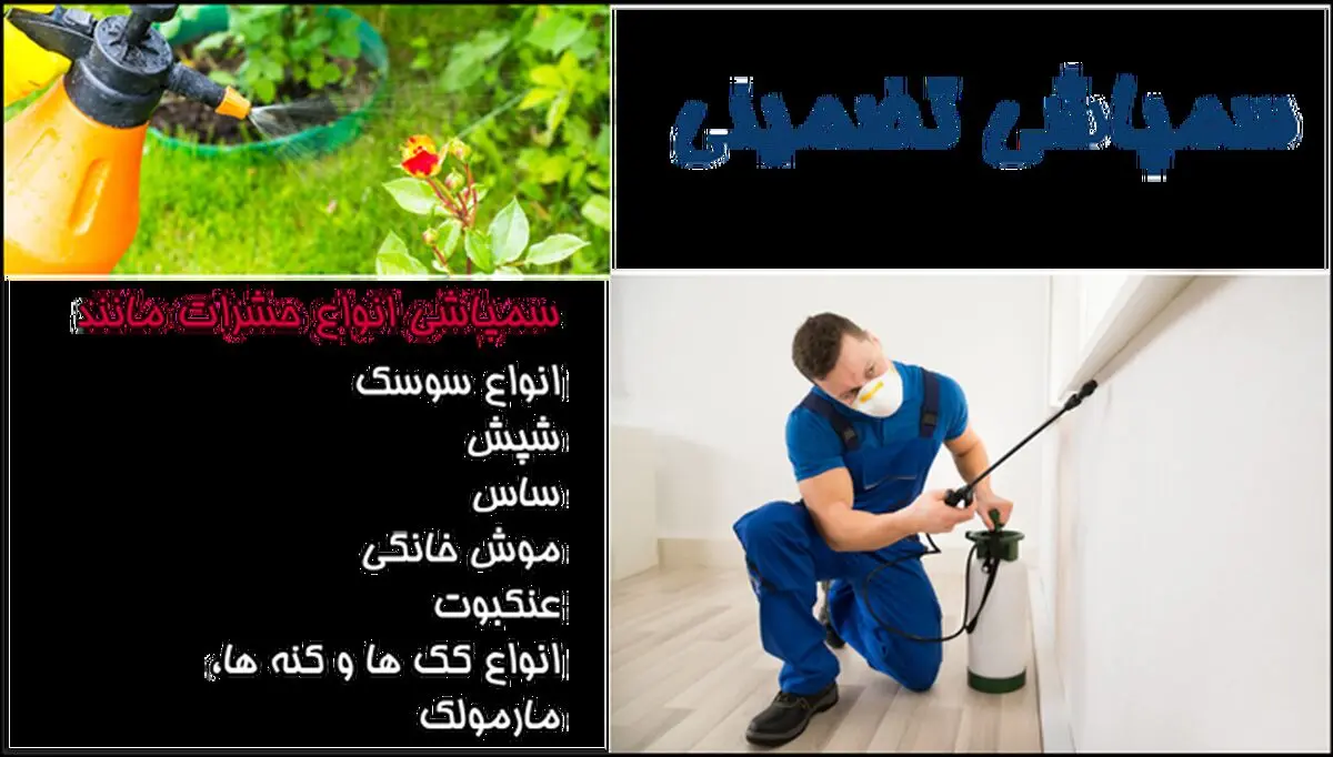 اهمیت سمپاشی توسط کارشناسان حرفه‌ای