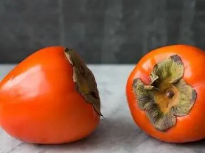 پیش‌بینی برداشت بیش از ۲ هزار تُن خرمالو در گیلان 