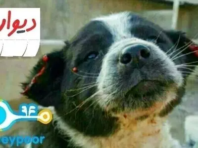 asdasd
