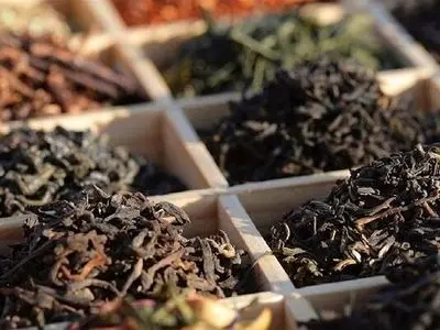 صادرت ۱۳ میلیون دلار چای ایرانی از ابتدای امسال