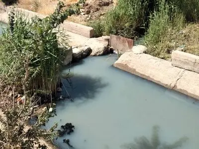 آبیاری زمین‌های کشاورزی ابهر با فاضلاب ؛ نتیجه اجرای طرح‌های بدون مطالعه/ نبود اعتبار و فرهنگ کشاورزی دو عامل دیگر