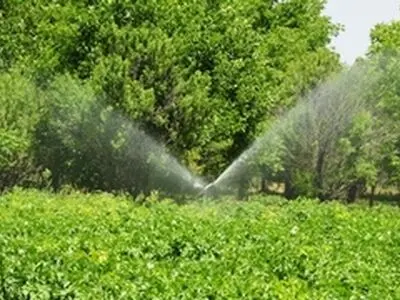 ۲۰۰ هکتار اراضی کشاورزی آذرشهر از آبیاری تحت فشار برخوردار هستند