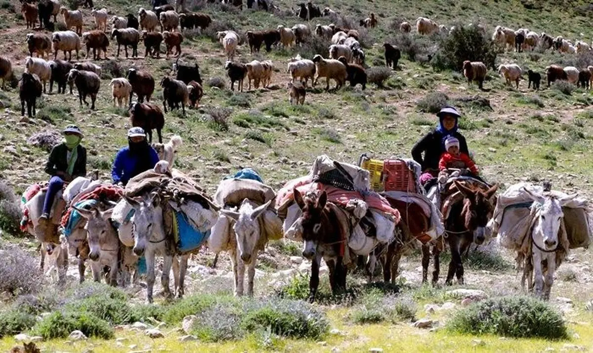 آغاز کوچ بهاره به مناطق ییلاقی آذربایجان شرقی