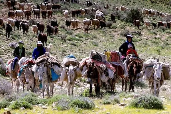 آغاز کوچ بهاره به مناطق ییلاقی آذربایجان‌ شرقی