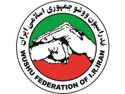  تایید صلاحیت ۵ نامزد ریاست فدراسیون ووشو
