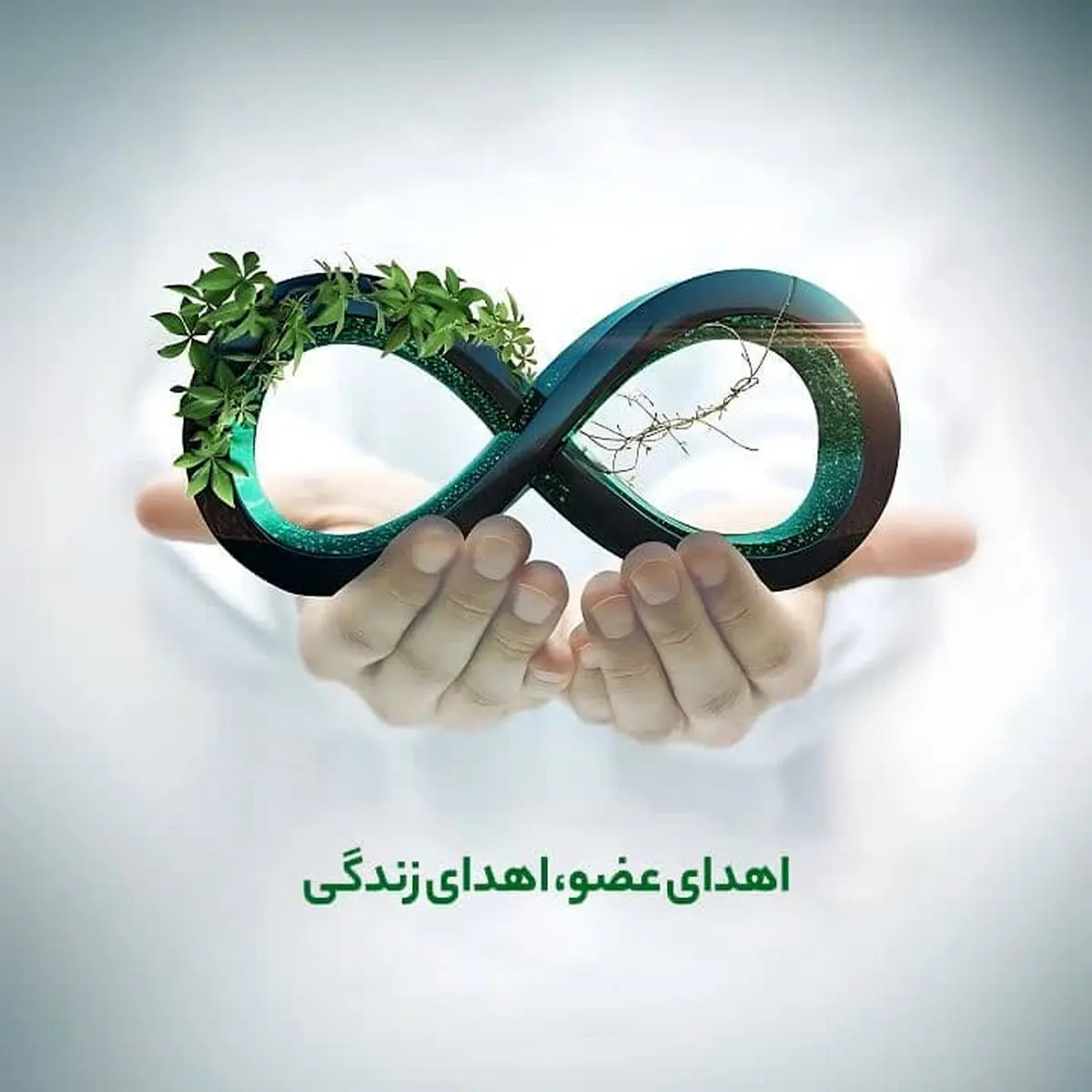 اعضای بدن بانوی فیروزآبادی به بیماران نیازمند پیوند عضو اهدا شد