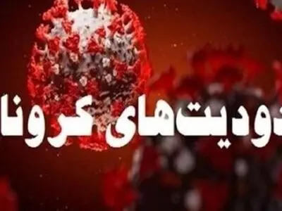 دستورالعمل تعطیلی مشاغل غیرضروری در ۸ شهر آذربایجان غربی اجرا می‌شود