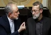 لاریجانی، شخصیتی با کیاست است که در راه تامین منافع ملی ایران همت گمارد