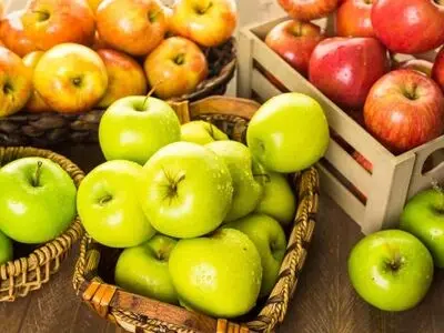 ۷ محافظ طبیعی برای معده