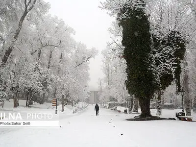 بارش برف زمستانی در تهران /1