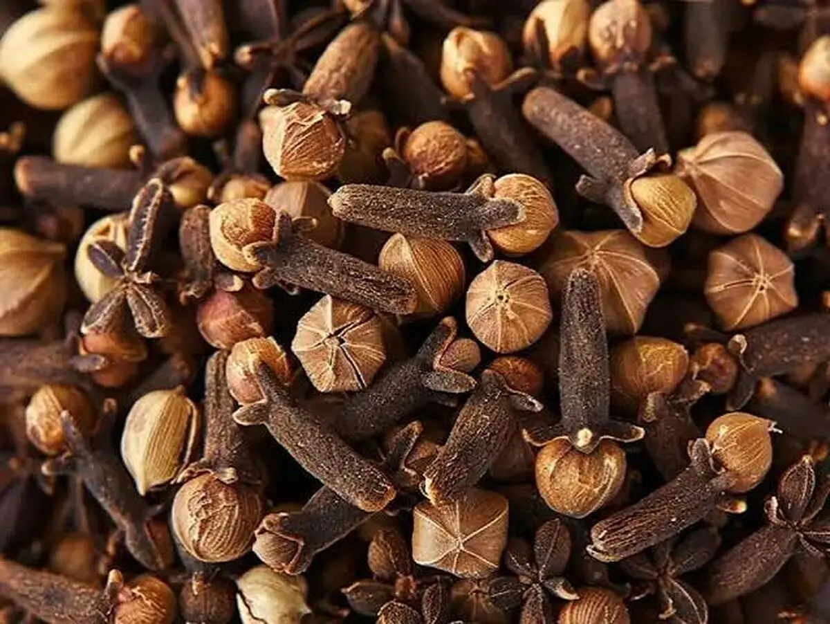 دمنوش میخک؛ نوشیدنی پاییزی برای روزهای سرد + اینفوگرافیک
