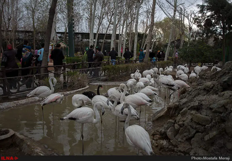 باغ پرندگان اصفهان از جاذبه های گردشگری این شهر