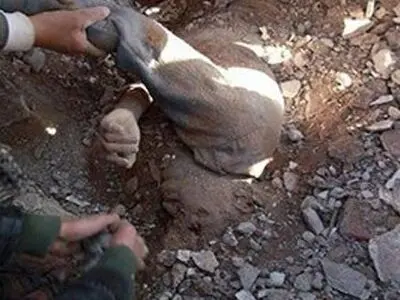 ائتلاف سعودی ۲۵ غیرنظامی یمنی را کشت