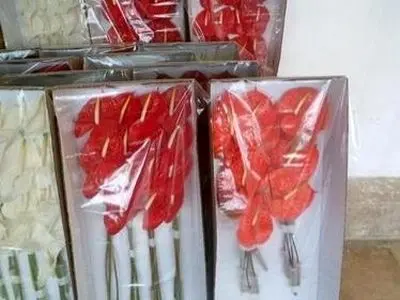 asdasd