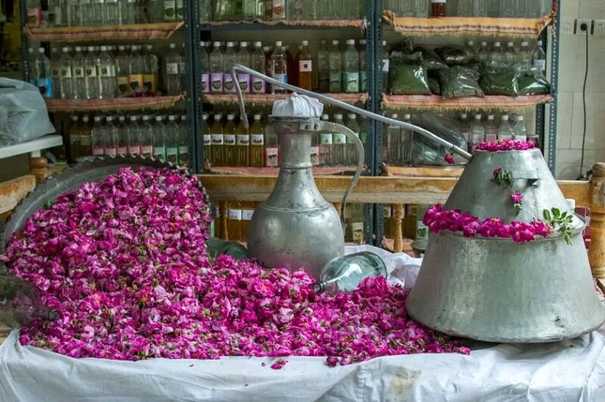 آیین سنتی گلاب‌گیری بروجرد در فهرست رویدادهای گردشگری کشور ثبت می شود