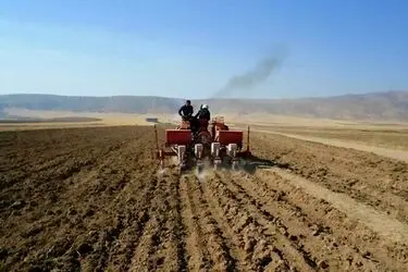 آغاز فصل کشت محصولات پاییزه در مازندران؛ تأکید بر تأمین نهاده‌های شیمیایی برای کشت گندم و کلزا