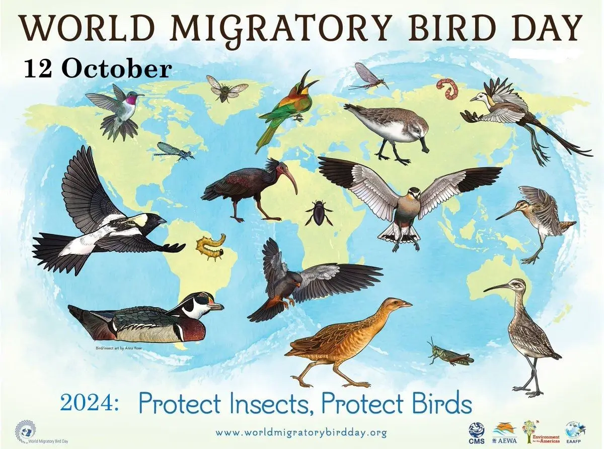 ۱۲ اکتبر روز جهانی پرندگان مهاجر است