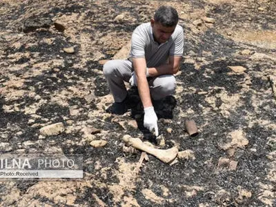 کشف گور دسته‌جمعی پر از استخوان‌ و لباس‌ 