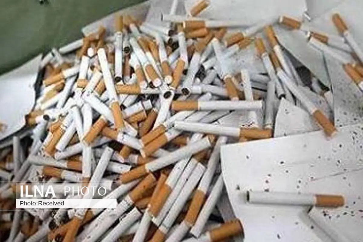 عامل قاچاق دخانیات در قزوین نقره داغ شد