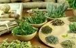 افزایش بی‌سابقه صدور مجوز مواد اولیه دارو‌های سنتی