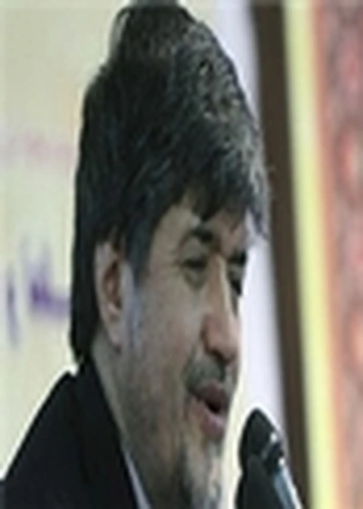 آثار شهید مطهری آثار تعادل است / درد شهید مطهری، درد دین بود