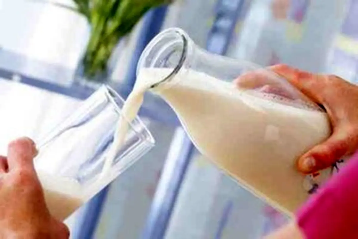 نکات کلیدی در انتخاب شیر؛ چه شیری برای شما مناسب تر است؟/ انواع شیر را بشناسید