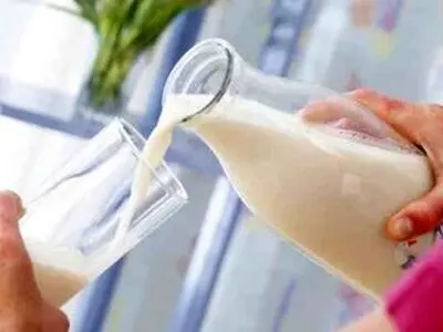 نکات کلیدی در انتخاب شیر؛ چه شیری برای شما مناسب تر است؟/ انواع شیر را بشناسید