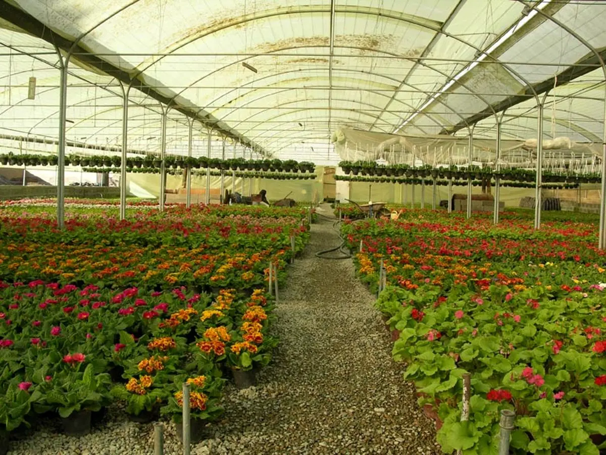 اولین گلخانه تمام اتوماتیک هیدروپونیک دراصفهان افتتاح شد