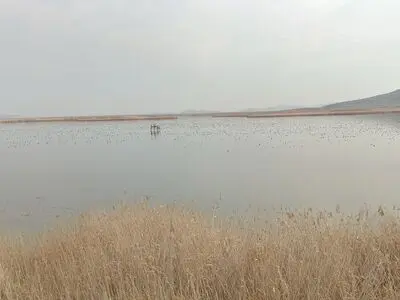 تالاب کانی برازان مهاباد اولین سایت پرنده نگری کشور است/زیست ۱۵۰ گونه پرنده در تالاب کانی برازان