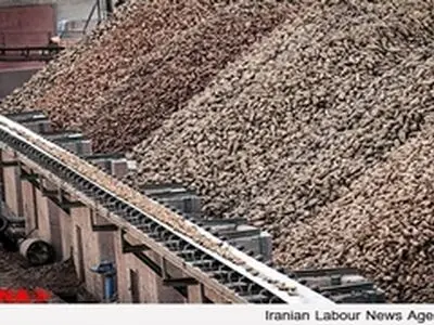 کارگران قند کامیاب با ۴ تا ۱۱ ماه حقوق معوقه، بیکار شدند