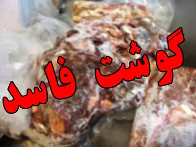 امحای گوشت های فاسد در قزوین