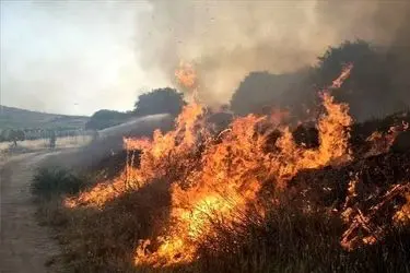 وقوع حادثه آتش‌سوزی در ارتفاعات کوهستان آبیدر / حریق در کوتاه‌ترین زمان ممکن مهار شد