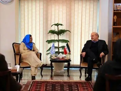 مقابله با گرد و غبار از اولویت‌های اصلی محیط زیست ایران