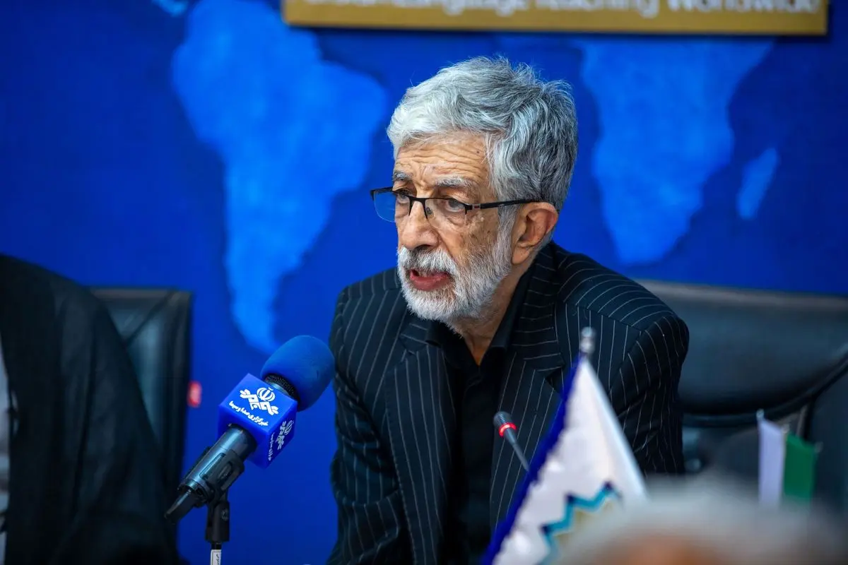 رایزنان فرهنگی سفیر دوستی و ارتباط با ایرانیان خارج از کشور هستند