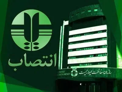 لیلا تاجگردون مدیرکل محیط زیست فارس شد