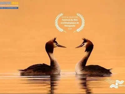 حضور «کشیم عاشق» در جشنواره «منیگوت» فرانسه